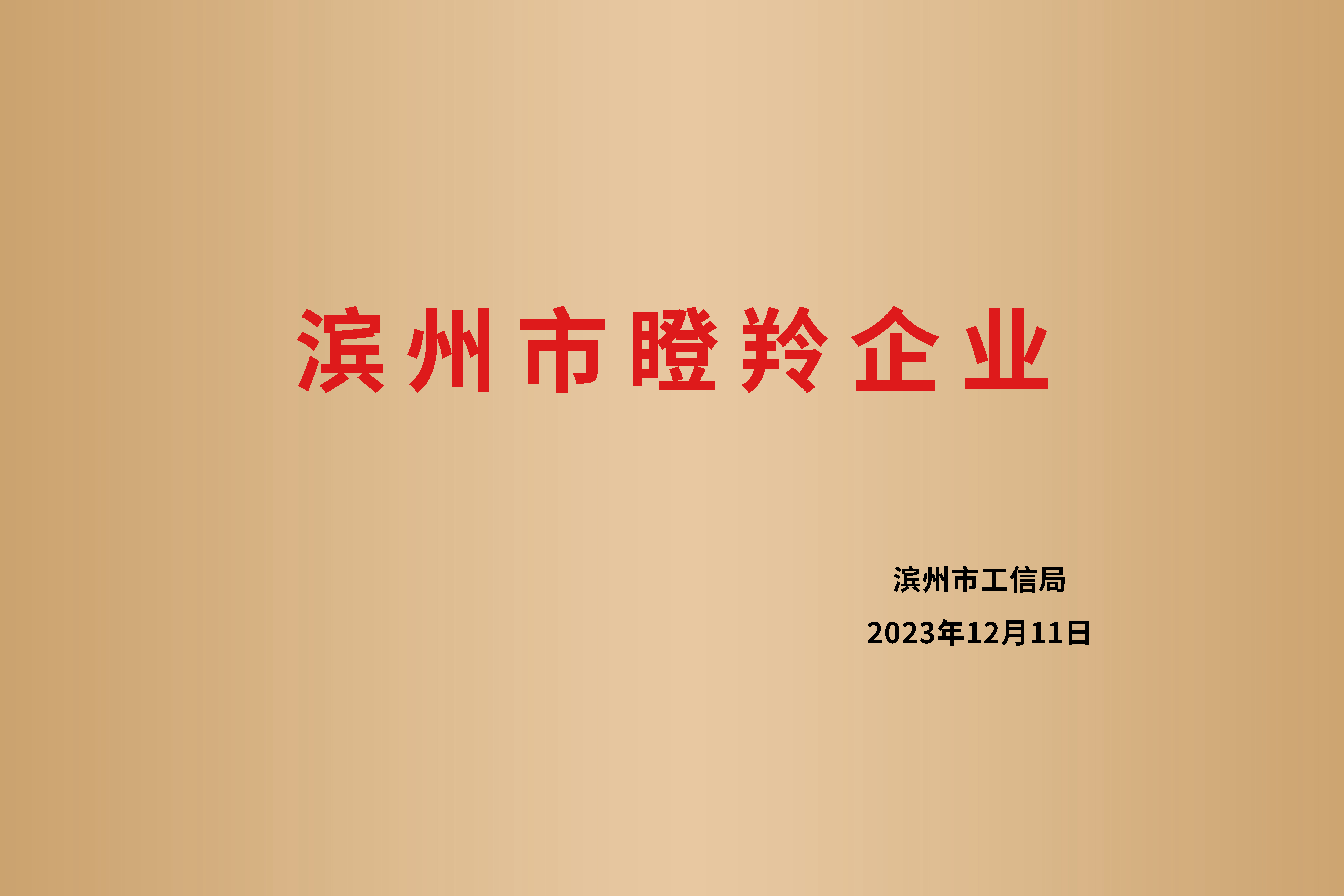 滨州市瞪羚企业